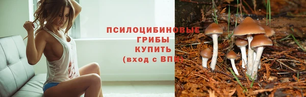 МДМА Арсеньев