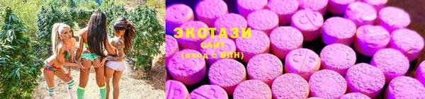 прущие крисы Армянск