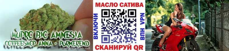 ТГК концентрат  МЕГА маркетплейс  Балабаново 